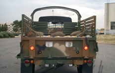 KM450 Cargo Truck image